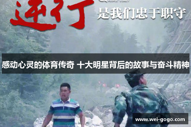 感动心灵的体育传奇 十大明星背后的故事与奋斗精神