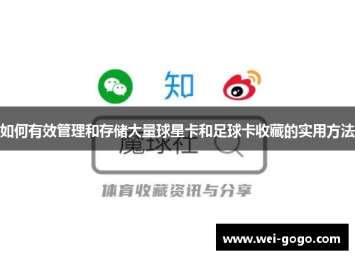 如何有效管理和存储大量球星卡和足球卡收藏的实用方法