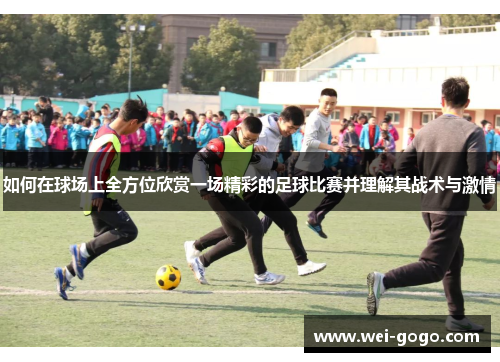 如何在球场上全方位欣赏一场精彩的足球比赛并理解其战术与激情