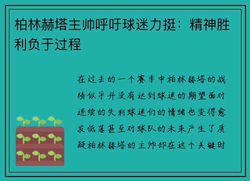 柏林赫塔主帅呼吁球迷力挺：精神胜利负于过程